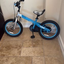Royal Baby Matte Kids Bike