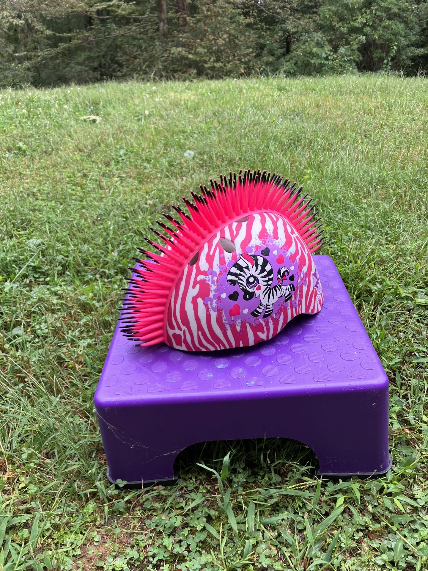 Kids Zebra Bike Helmet
