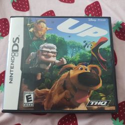 Up for Nintendo ds