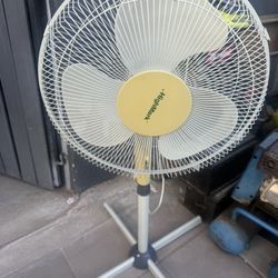Fan 