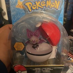 Pokemon Collectible 