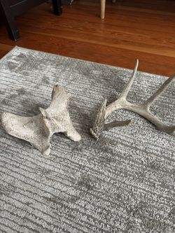 Animal Decorations