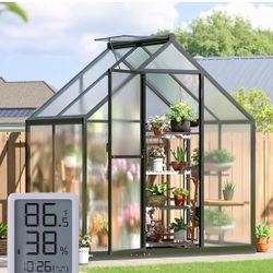 Greenhouse (New) 4*6 Ft