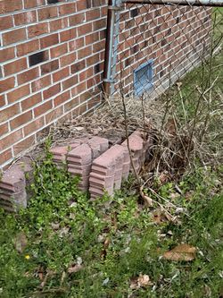 Red Scalloped Lawn Edge Bricks( Free)