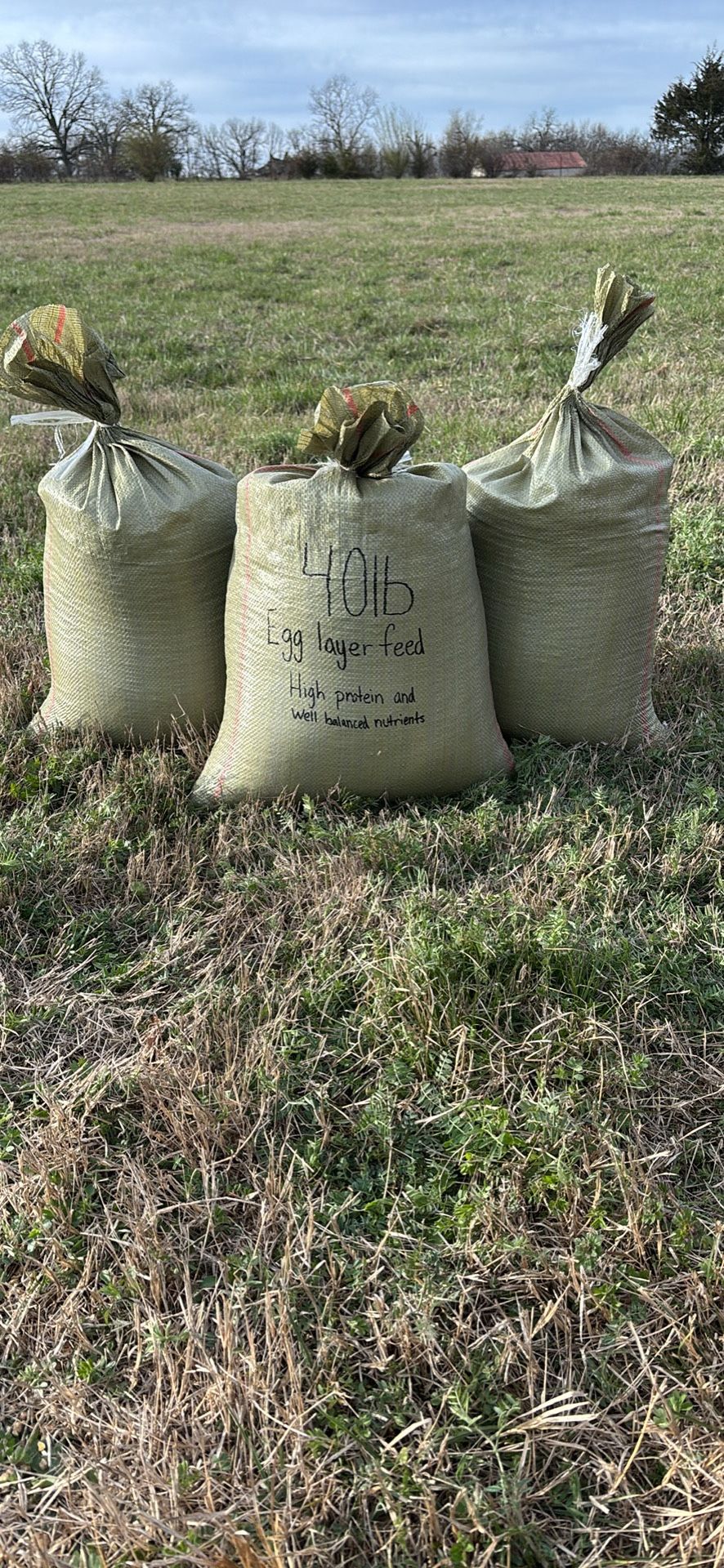 40lb Bags of Egg Layer Feed