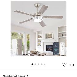 Ceiling fan