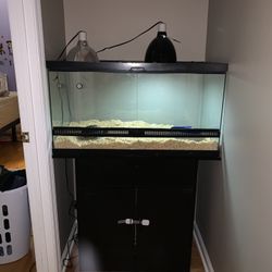 Tortoise tank stand and full setup Terrarium