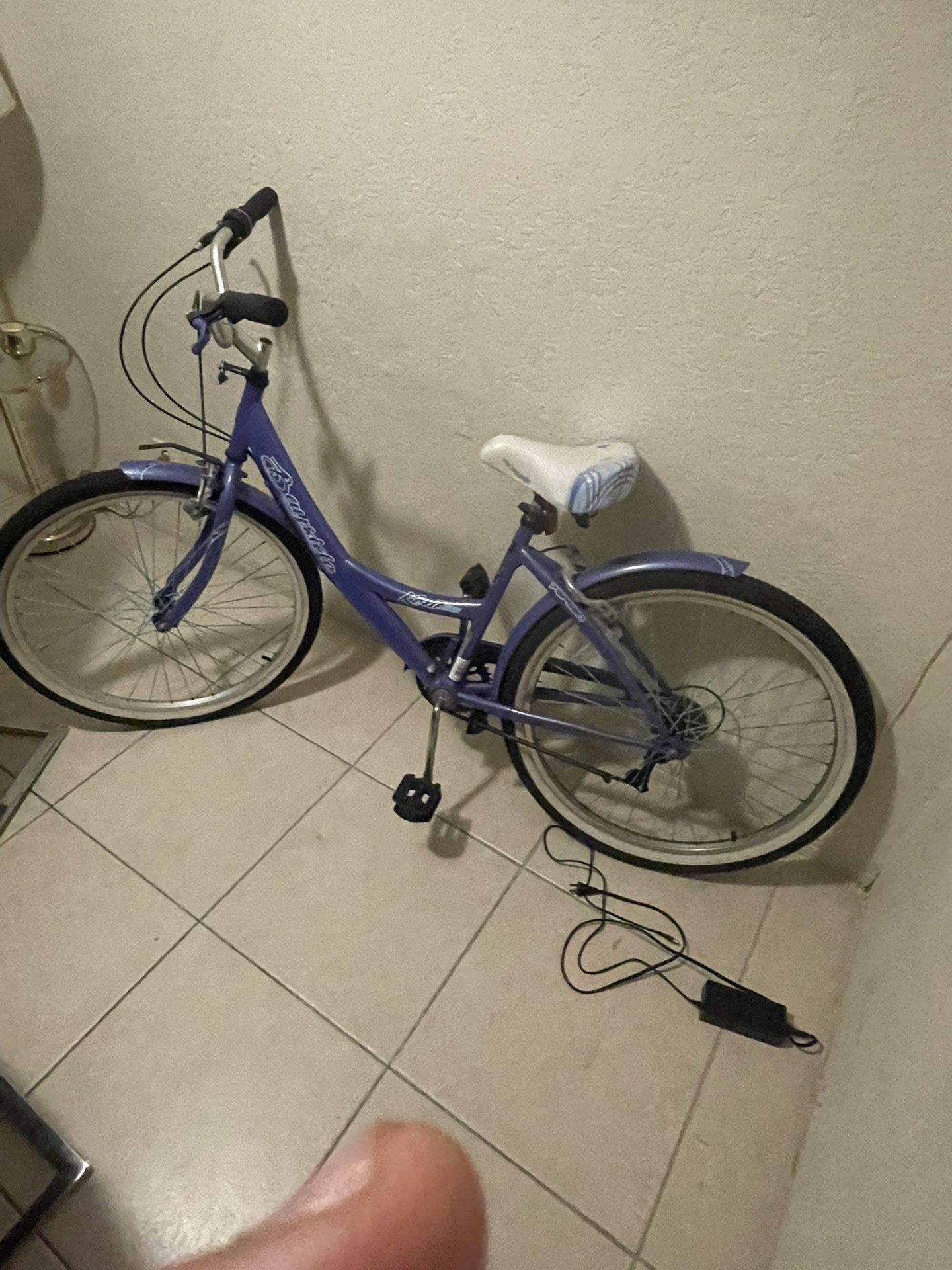 Beach Cruiser 26 Inch