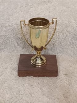 Engraved Trophy