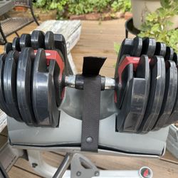 Bowflex Weights & Stand