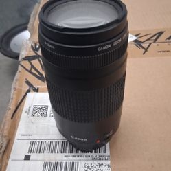 Canon EF 75-300mm Lens