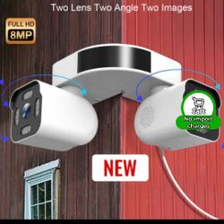 Security Camera Two In One