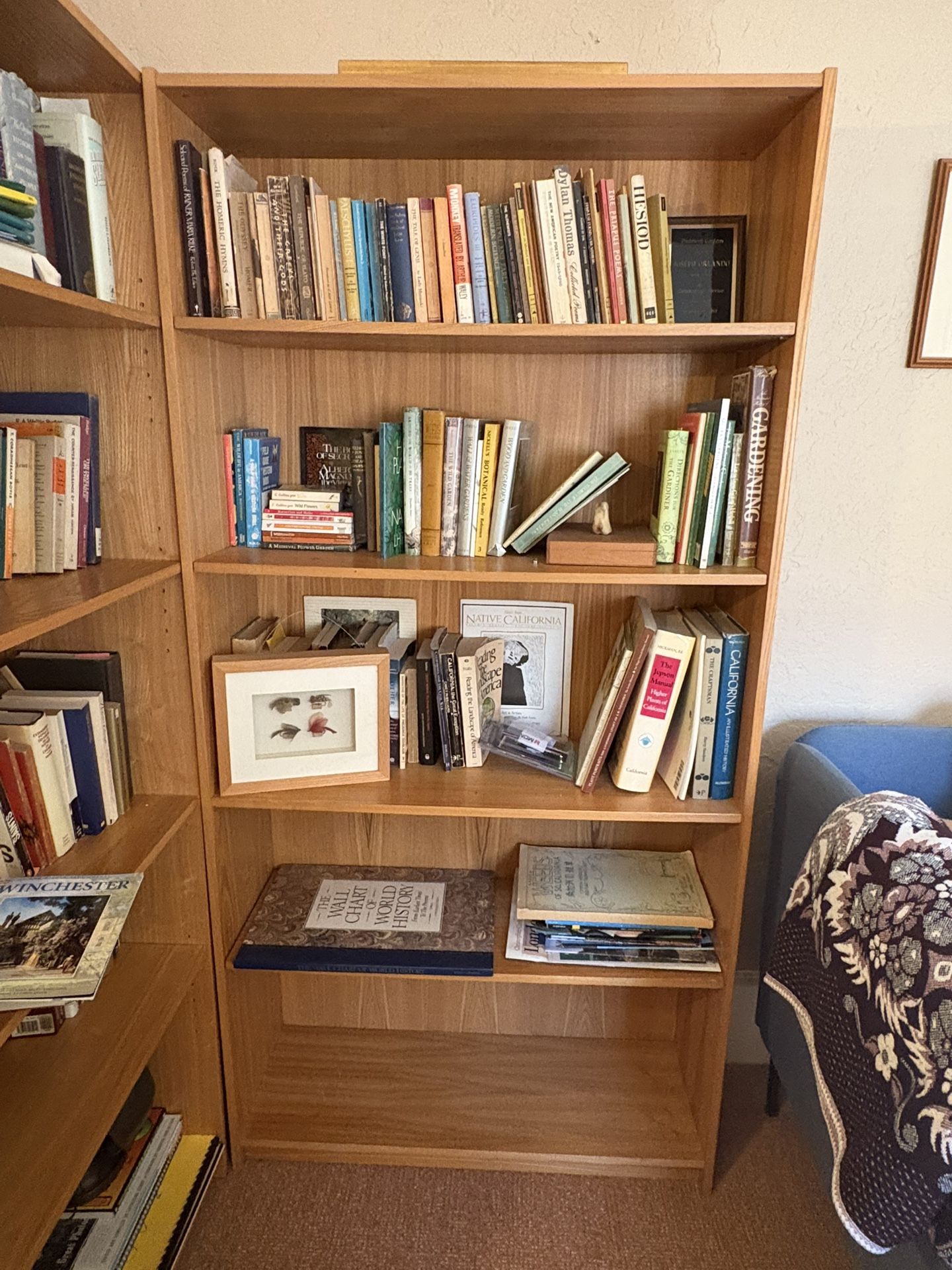 2 Identical Bookshelves 