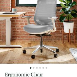 Ergonomic Office Chair (Branch Furniture)
