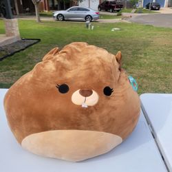 Squishmallows