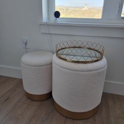 Ottoman Set Of 2 With Storage