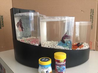Aqueon betta falls kit cheap