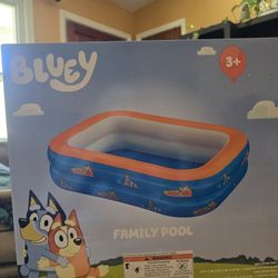🆕️BLUEY FAMILY POOL 6 ft. 7 in. x 57.5 in. x 19 in.