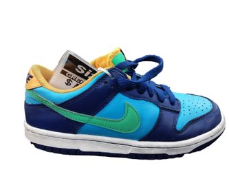 Nike Dv1693-401 Multi-color