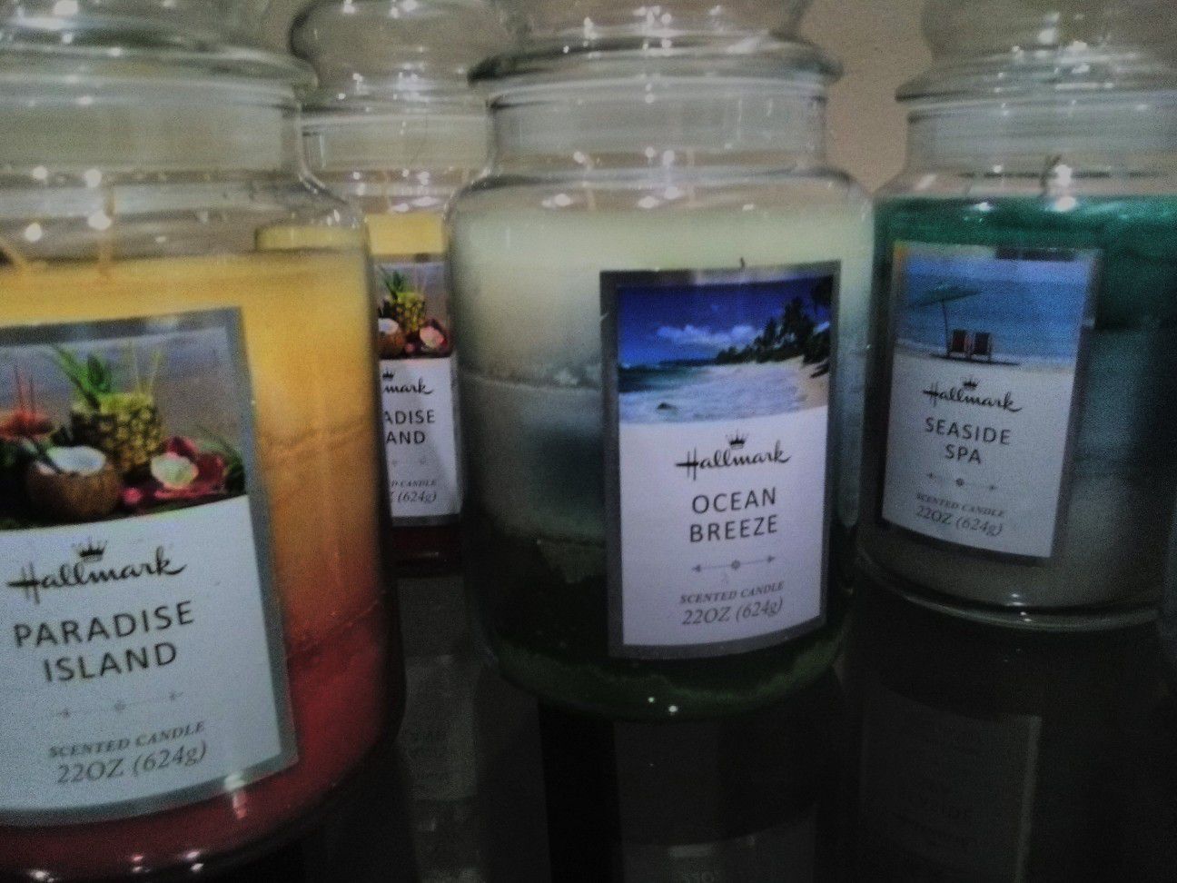 LARGE, Hallmark Brand, 22oz. 2-Wick Jar Candles-See all pics/description-Will meet/deliver