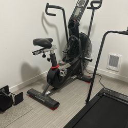 Schwinn Air Dyne Pro