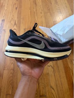 Nike Pegasus premium