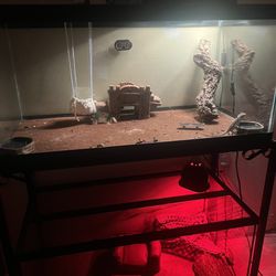 Bearded Dragon And Leopard Gecko With Whole Set Up