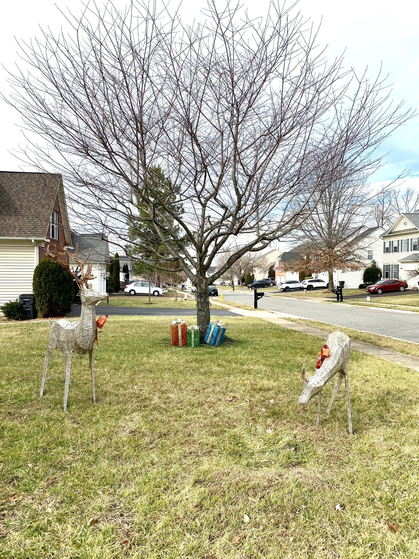 CHRISTMAS DECOR OUTDOOR 