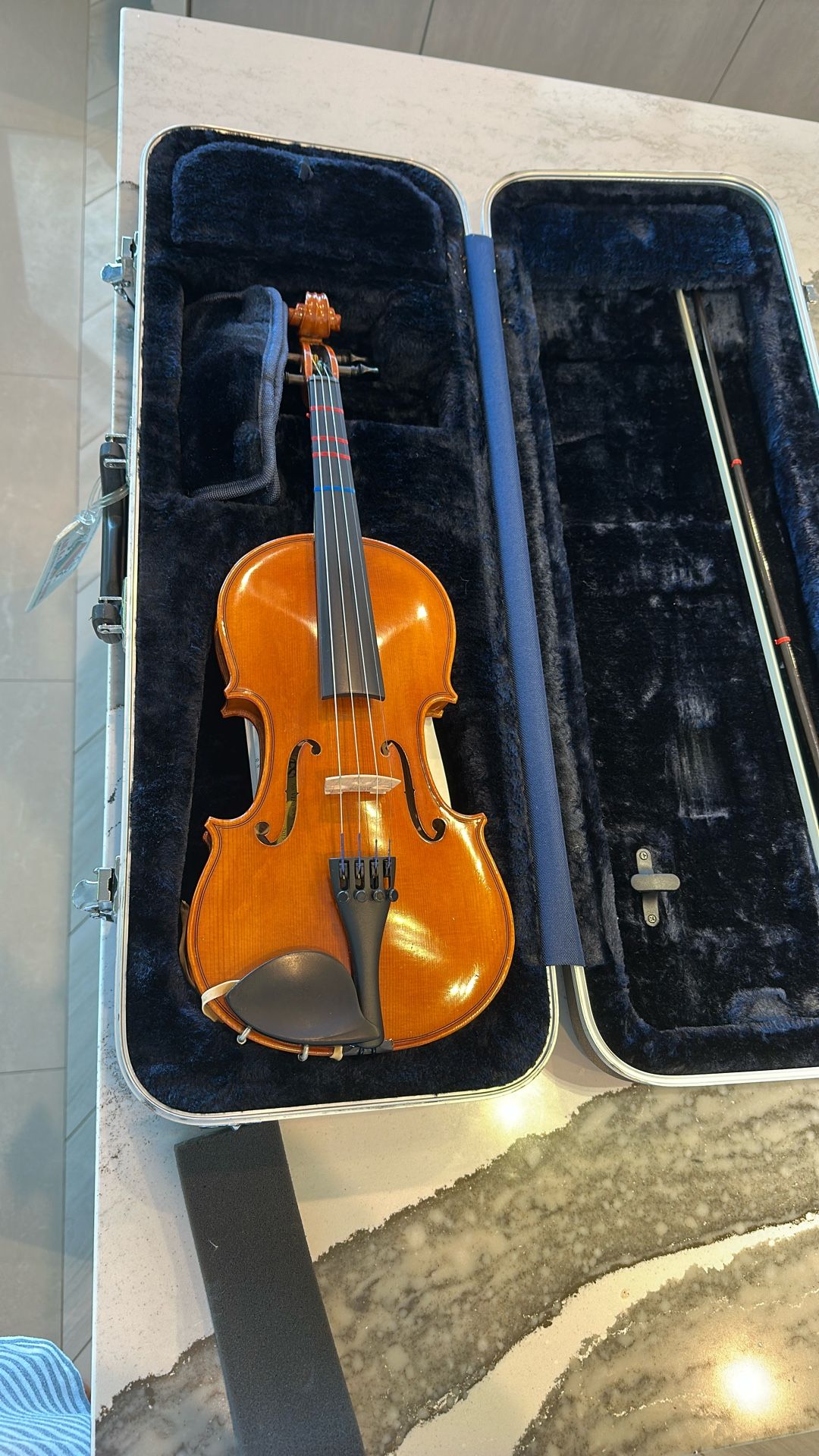 Violin Instrument