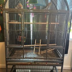 Bird Cage 