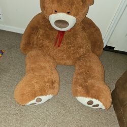 Big Teddy Bear 