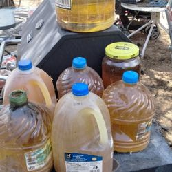 Old Cooking Oil
