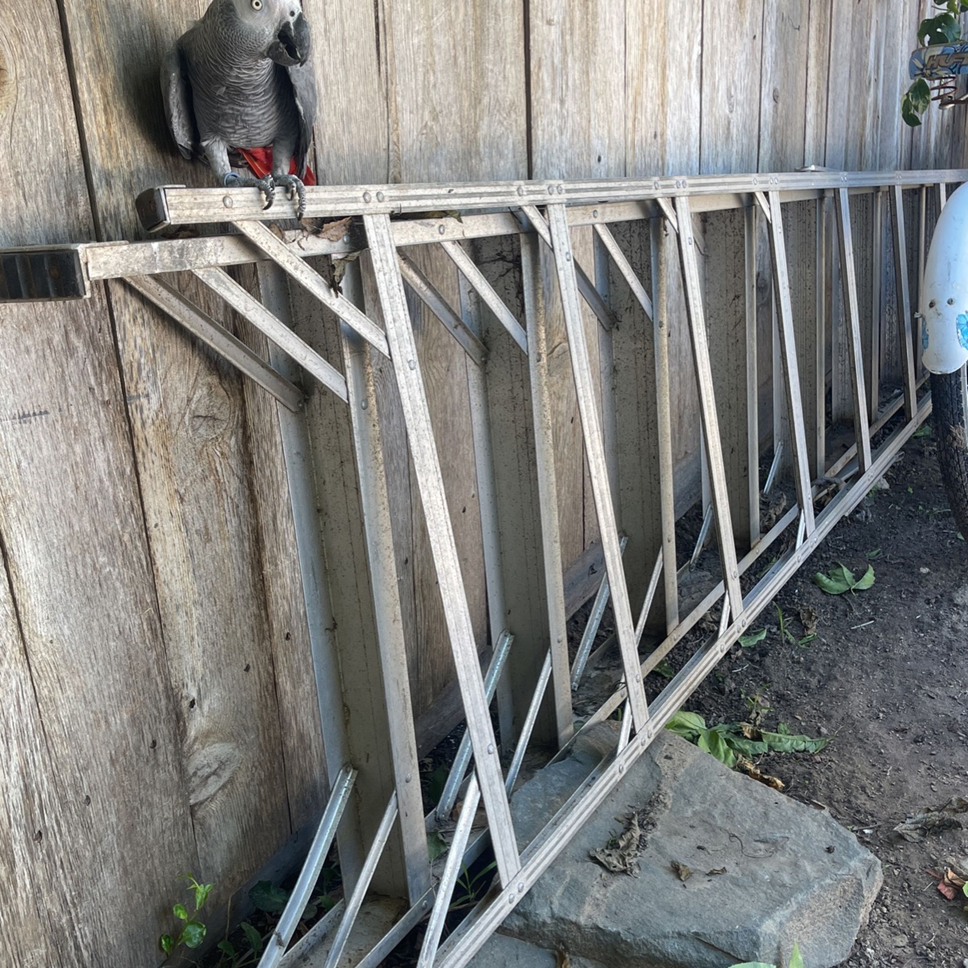 16 Foot Aluminum Ladder 