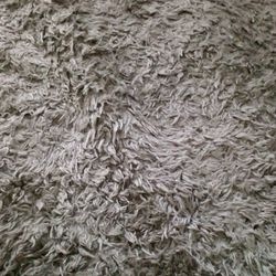 Nice Shag Rug Gray 10x9 X6 $50 Or Best Offer Serious Inquiries Only
