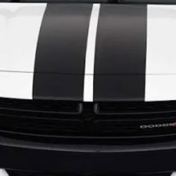 Race Stripes
