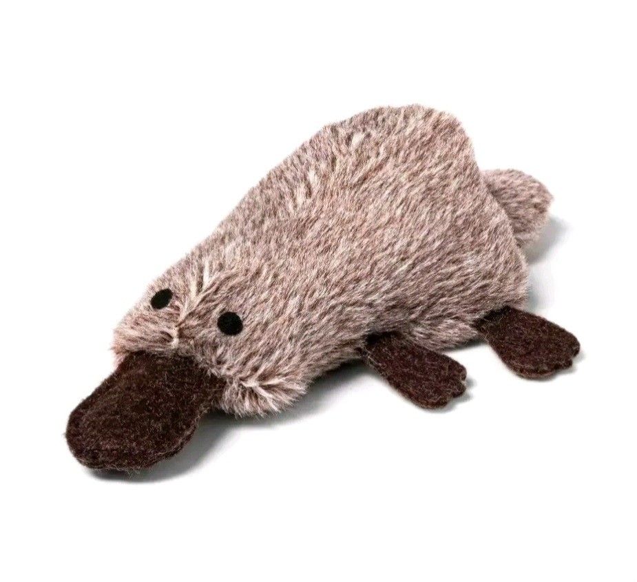 Boots & Barkley Catnip Pounce Platypus Cat Toy - 