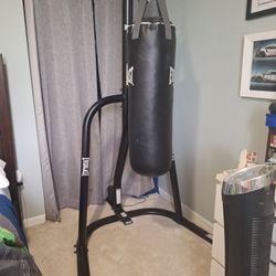 Everlast Punching Bag