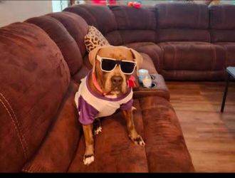 3 recliner sectional couch (dog not included)