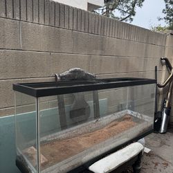 50~ Gallon Fish Tank