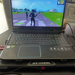 Acer Predator Helios 300