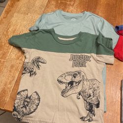 Boy’s Shirts Size 6 -