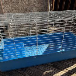 Guinea Pig Cage 