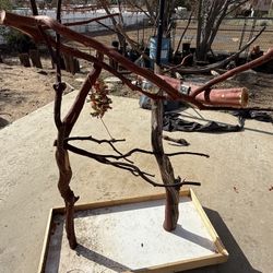 Manzanita Parrot Stand