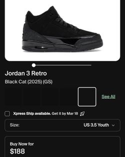 Jordan 3 Retro Black CAT
Used 
Size 1Y