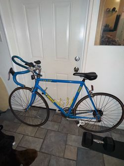 Trek bicycle