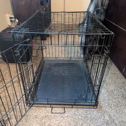 Medium Size Dog Kennel