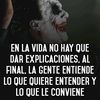 Juan