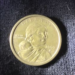 Rare Sacagawea Vintage Coin 