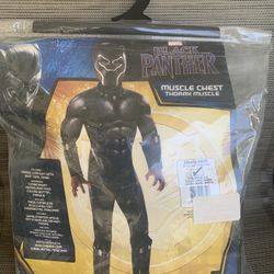 Black Panther Costume