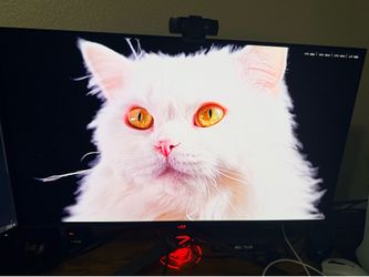 ASUS ROG PG32UCDM Swift 32 inch UHD 4K 240Hz AMD FreeSync Premium Pro & G-SYNC Compatible 0.03ms